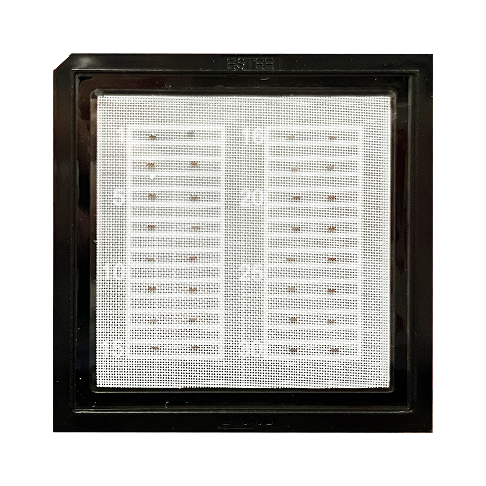 InP SOA Chips and Devices