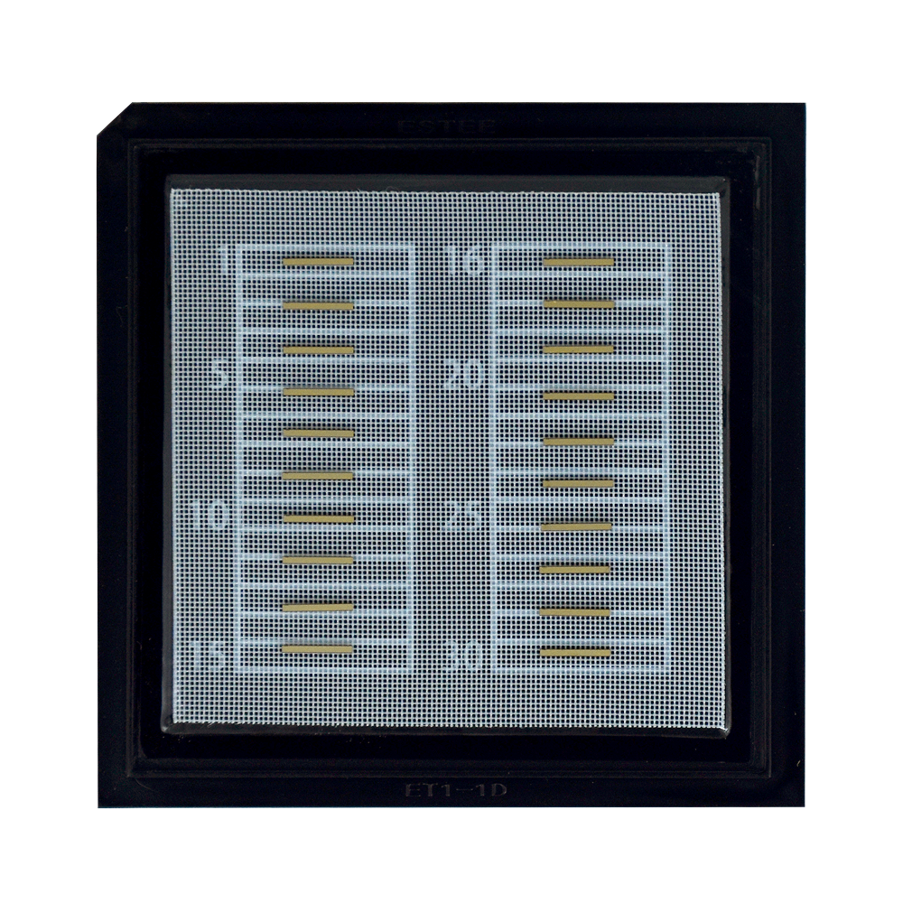 Chip Products