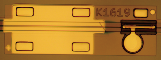 Inp EML Chip