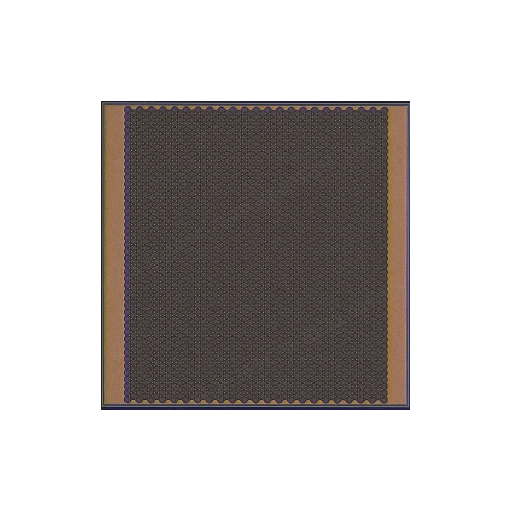 Single-junction Multimode VCSEL Array Chip